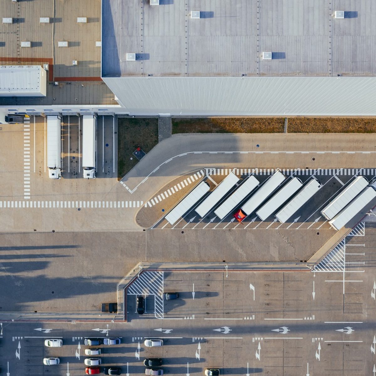 production, facility, logistic